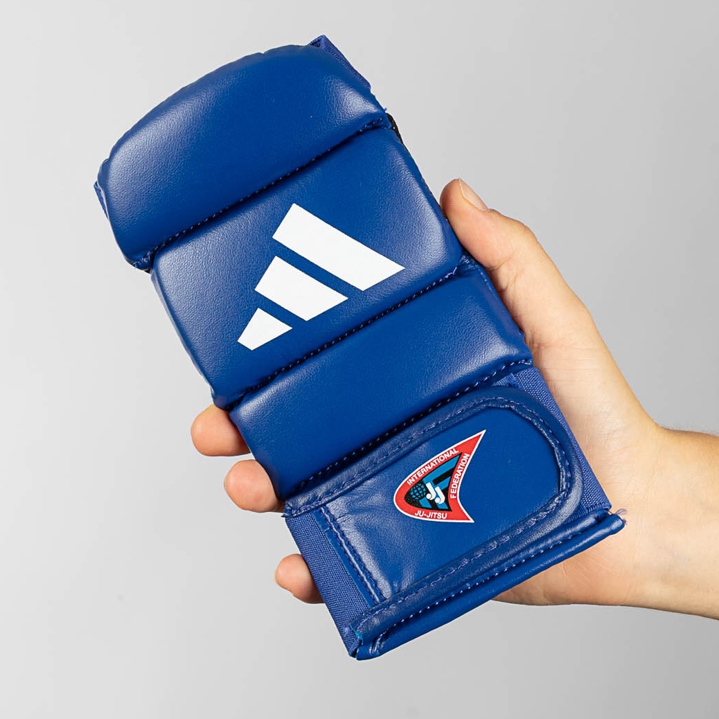 Boxhandschuh, blau, gepolsterter Handschuh, in der Hand gehalten, Ju-Jitsu Abzeichen