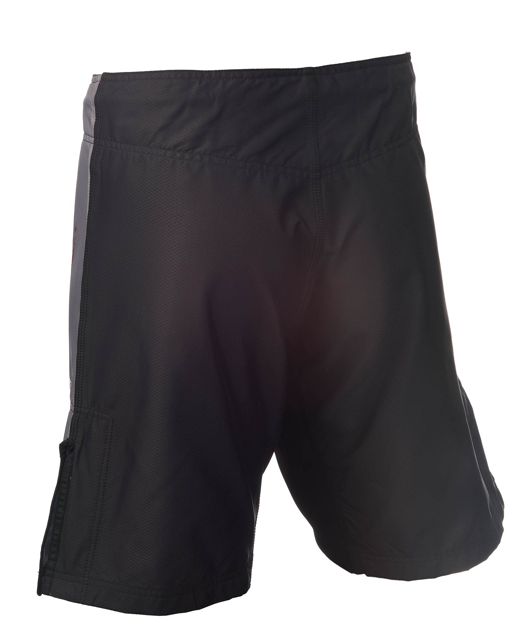 Dark Line Fightshorts "Dragon"